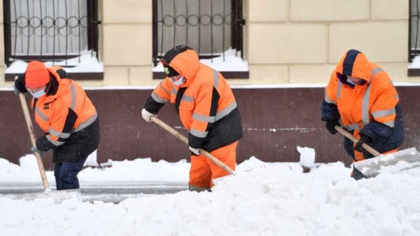 На Урале дворники объявили бойкот из-за нападения пенсионерки с лопатой на их коллегу